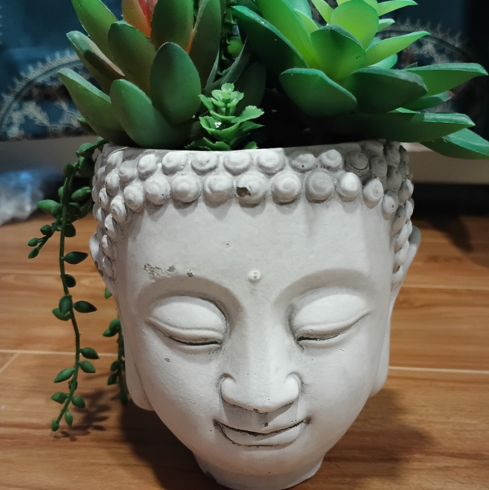 White Buddha Head Planter with Succulents